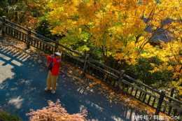 杭州最美秋色就在海拔500多米的千年古村,風景絕佳還無需門票