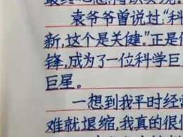 8歲孩子作文《我最敬佩的人》袁隆平，寫出“神仙字型”