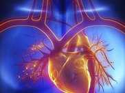 心臟堵塞會危及生命！心血管專家告訴您：這樣判斷心臟堵沒堵