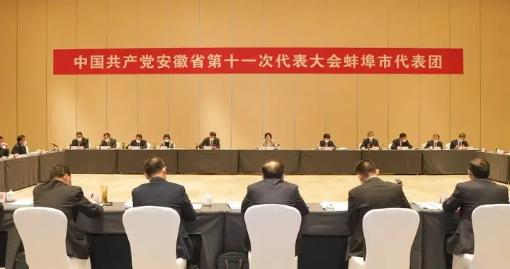 程麗華參加蚌埠市代表團審議