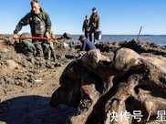 俄羅斯北極地區湖泊中發現的長毛象骨骼