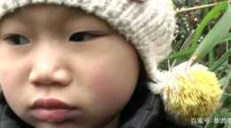 湖南五歲女童“再生人”事件調查