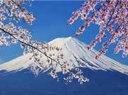日本最牛房東：富士山是他傢俬產，政府都是租的，每年交鉅額租金
