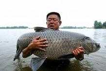 垂釣百斤大魚如家常便飯，釣魚網紅慣用的唬人套路，都有哪些？