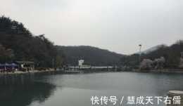 羅非魚入侵南京景區,黑壓壓水面一大片,網友到了冬天就會凍死