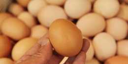 買雞蛋時別管紅殼白殼，認準這幾種準沒錯，新鮮品質好，易於儲存
