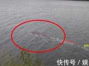“尼斯湖水怪”新照片被公開！水中露2.4米身影，真相或越來越近