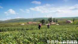 中國人又一偉大壯舉！一張塑膠膜，將寸草不生的黃土高原變成綠洲