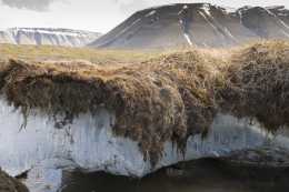 青藏高原凍土分佈較多，構造複雜，融凍情況與氣候變化息息相關