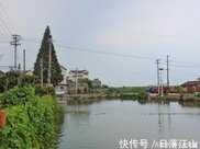 南唐古村杜桂今存南京湖熟，是區非物質文化遺產，明代石拱橋還在