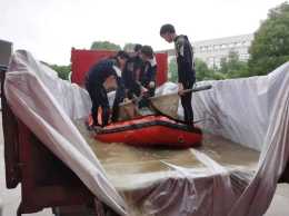 緊急救援——2頭瓜頭鯨入住台州海洋世界