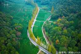 這條鄉間小道是杭州秋色最美的地方,離西湖僅僅5公里