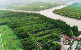 佔地面積168畝!松江首個開放式休閒林地建成開放!