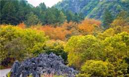 廣東秋景"最美"景區,藏在粵北山城裡,層林盡染,盡顯秋季本色