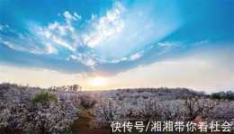 中國·呈貢第十屆"萬溪梨花節"3月25日與您"雲"上相約