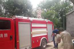 桐城龍眠街道東盛村：應急消防隊員與村幹部合力摘除馬蜂窩