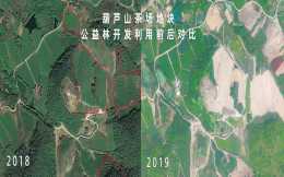 敬亭山國家森林公園被點名：生態破壞現象嚴重