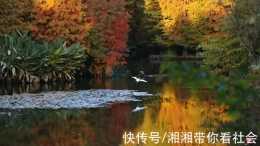 燕雀湖,一段美麗的傳說|方誌江蘇