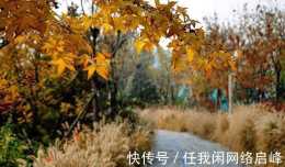 亭臺樓閣,小橋流水,北京通惠水谷溼地公園迎來首個秋天