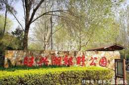 北京四環外的免費郊野公園,環境優美,餵魚賞花有涼亭