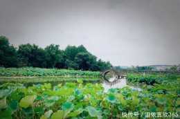 武漢最低調的景點,風景迷人遊客少,堪稱現實版"綠野仙蹤"