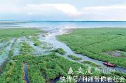 安慶:生態保護繪就山水田園新畫卷