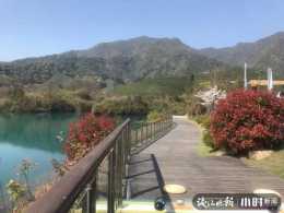 除了西湖景區爆紅,最近,杭州龍塢這裡的水庫人氣也很旺