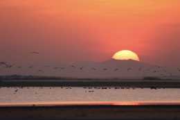 “救救鄱陽湖”,一場輿論風波背後的恐懼