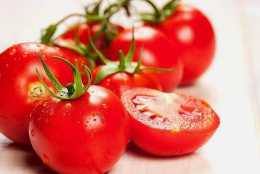 又一年種植季！今年西紅柿怎麼種植？這兩點非常的重要！