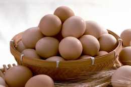 愛吃雞蛋的朋友，哪些事項需要注意？避免影響身體健康