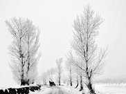 俄羅斯小村冬天最冷的地方，最低溫度-71，看完感覺人生就像過了年