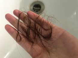 這3類洗髮水已成為“雷區”，花錢不少還掉髮，卻總有人往家買