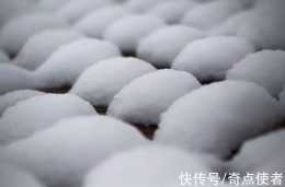 河南大雪過後,地面出現上千個"雪饅頭",人們覺得不可思議