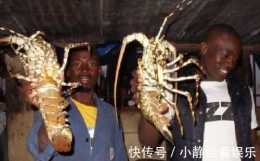 非洲人為什麼任由螃蟹和大龍蝦瘋長?網友:這麼大的龍蝦沒見過