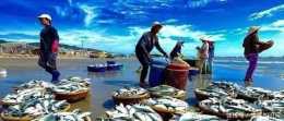 有太多的越南"白腳蝦"吃不完,在中國,他每斤50元