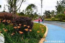 昆明人散步又有新去處,五華區“普吉公園”開放啦