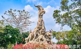 廣州“最大”公園走紅,被稱“羊城八景之一”,免費開放頗受歡迎