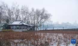 杭州西湖迎來新年初雪