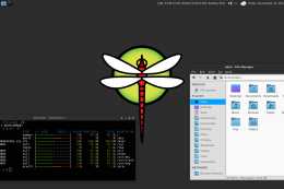 DragonFly BSD 6.0 穩定版釋出