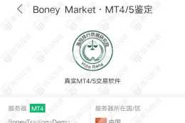 Boney Market外匯平臺怎麼樣？